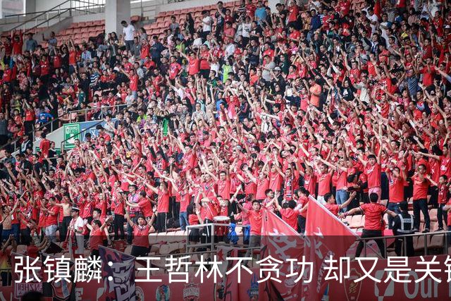 张镇麟：王哲林不贪功 却又是关键时刻能站出来的人 队长当之无愧