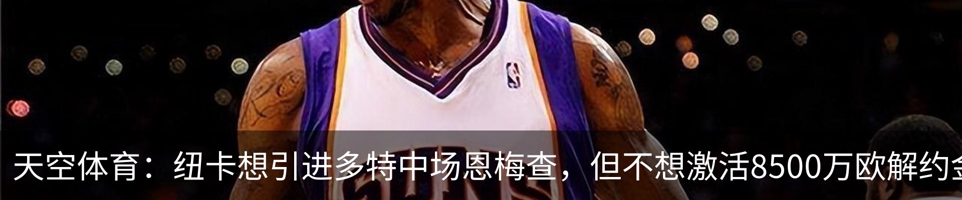 最新动态